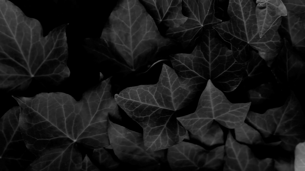 선잠_서보형_인디포럼2017