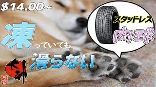 氷の上でも滑らない肉球があるってホントですか！？-忙しい人のための大神実況#14