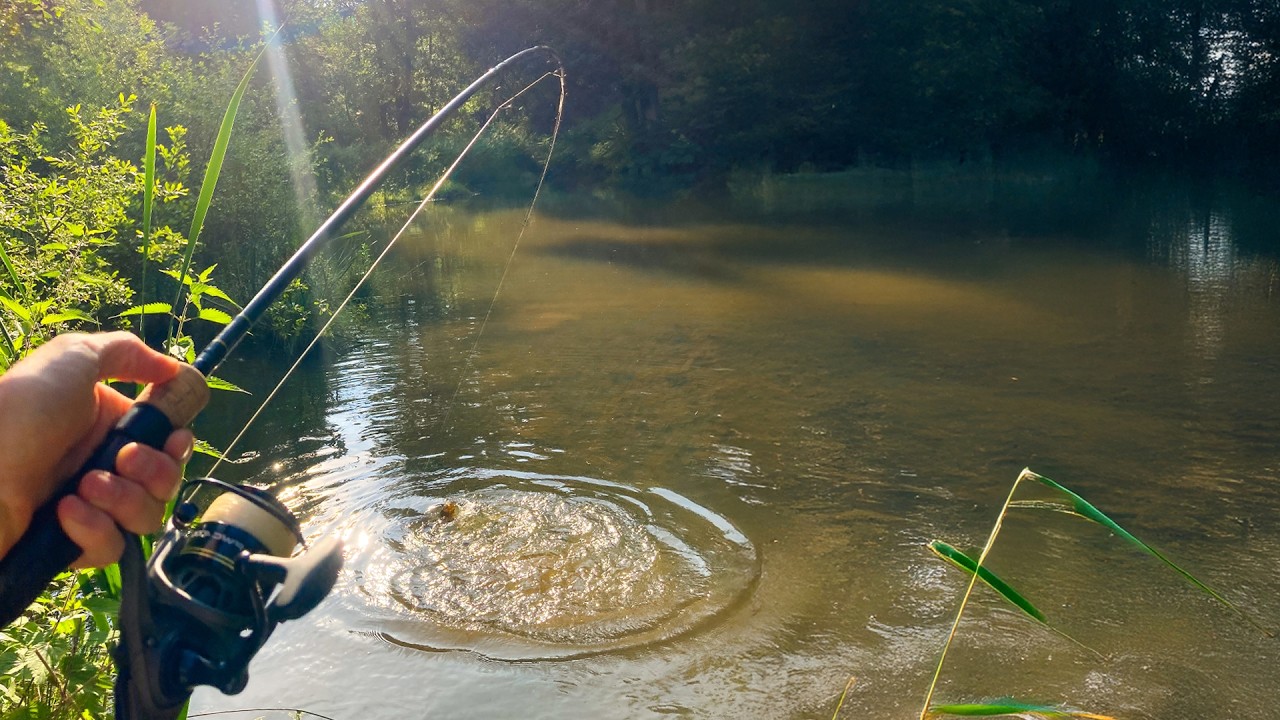 lake fishing