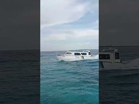 Speed Boat arriving at the harbour| Indian Ocean| Maldives| RTL Launch