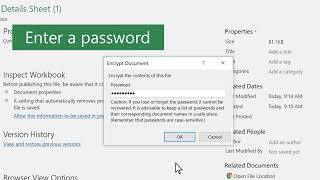 9 3  Password protect workbooks