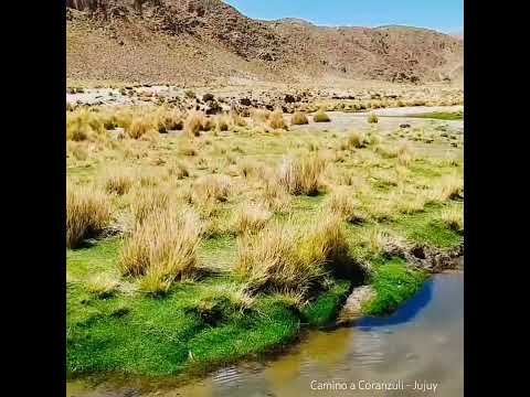 Camino a Coranzuli - Jujuy - Arg. #puna #jujuy #coranzuli