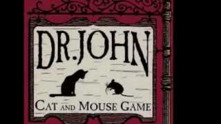 Cat and mouse game - Dr. John