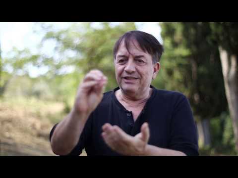 Dušan Bogdanović interview.