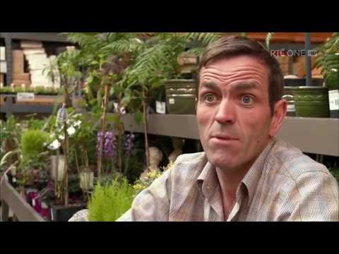 Super Garden seas 7 ep 2 (December 01, 2016)