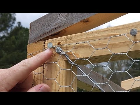 Tsc Chicken Wire