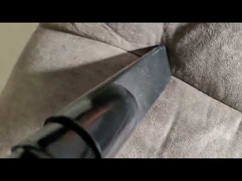 Heavy Infestation of Bed Bugs in the Couch...