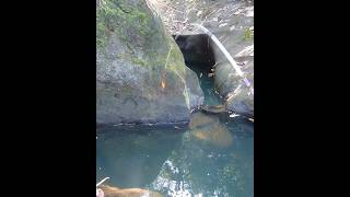 Download lagu Uhuy babonya kena!! Mancing ikan wader teknik pelampung spot pegunungan tak terjamah mantab 21 mp3