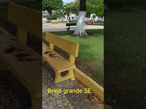 brejo grande Sergipe