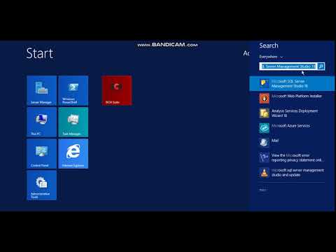 assigning startup parameters in SQL server configuration Manager