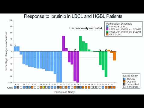 PHASE 2 STUDY OF IBRUTINIB WITH TEMOZOLOMIDE, ETOPOSIDE, LIPOSOMAL DOXORUBICIN, DEXAMETHASONE...