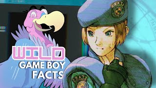 Nintendo Game Boy Facts YOU Need to Know