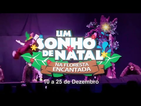 Sonho de Natal na Floresta Encantada  2016