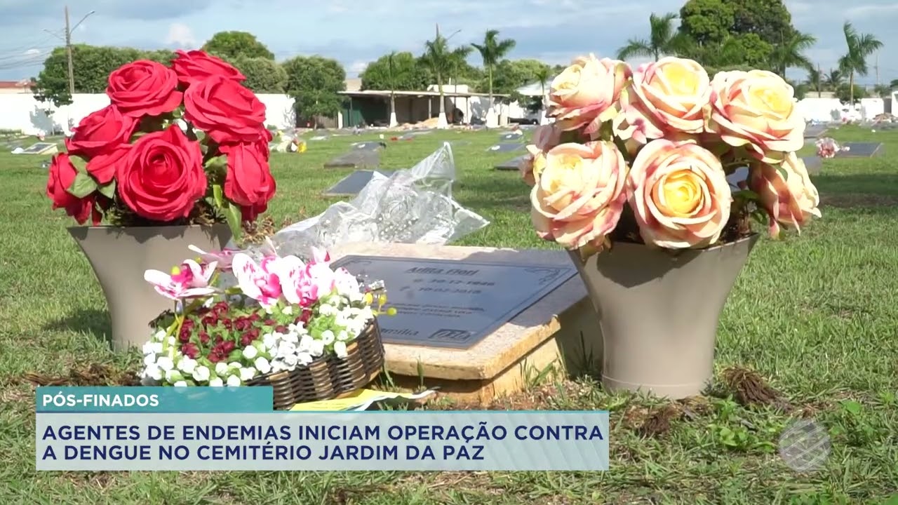 AGENTES DE ENDEMIAS INICIAM OPERAÇÃO CONTRA A DENGUE NO CEMITÉRIO JARDIM DA PAZ