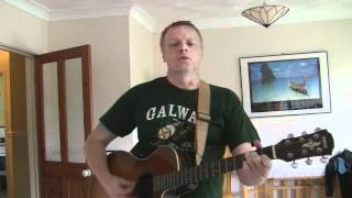 The Wild Rover - Traditional Irish song