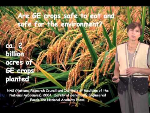 Pamela Ronald (UC Davis) Part 1: Sustainable agriculture