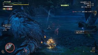 [MHWs] 有推薦的蟲棍使立回直播頻道嗎？