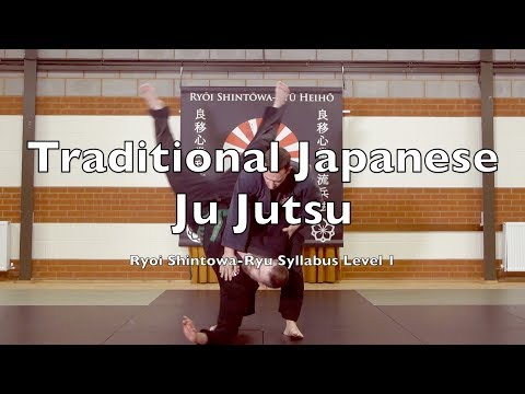 54 JuJutsu Techniques / Self Defence Syllabus / Traditional Japanese Ju Jutsu Ryu