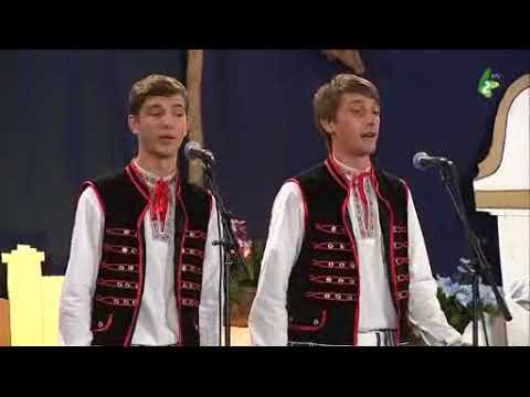 MINI-KONCERT NA FESTIVALU - Trio "Laborski betjare", Medzilaborci