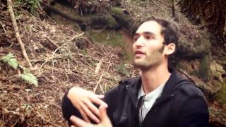 Return to Awe.  Jason Silva + Melodysheep