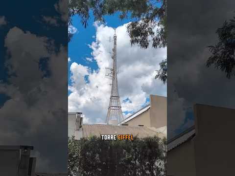 🚗🗺️ 2º dia de viagem, São Paulo para Taquaritinga mais um dia na rotina da Telx. #shotrs