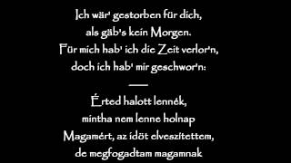 Eisbrecher - Die Hölle muss Warten (German and Hungarian lyrics) (HD)