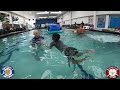 Tyler Learns To Swim In 8 Lessons