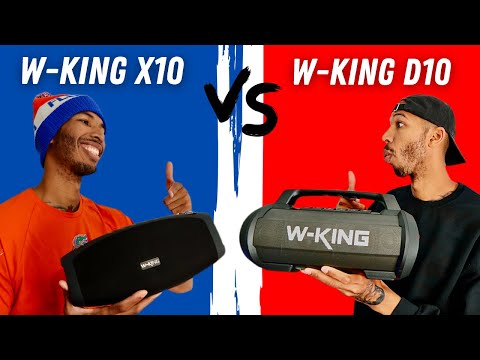W King X10 vs W King D10 - Best Budget Speakers?