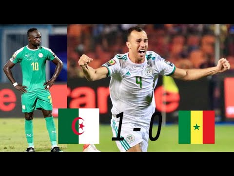 Algeria vs Senegal 1-0 goals and highlights final CAN 2019 HD