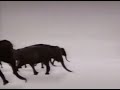 GEICO Elephant Stampede 1995