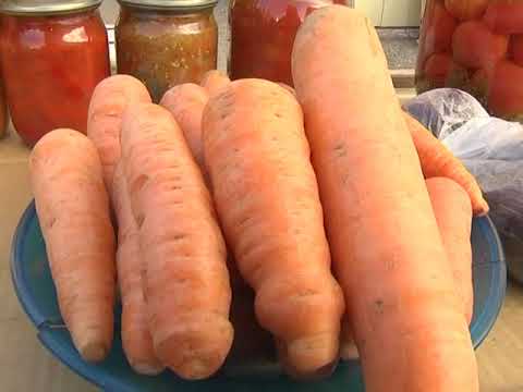 Выпуск программы «День» от 23 ноября 2017г.