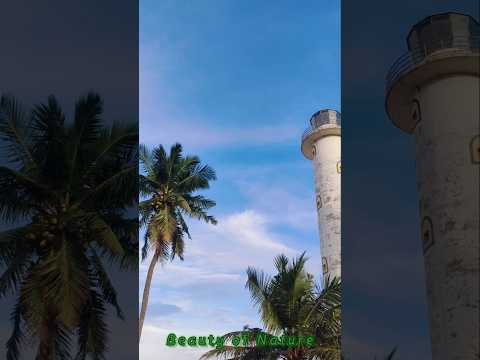 Oluvil Lighthouse & Ocean Views 🌊🌅 | Nature Beauty Short