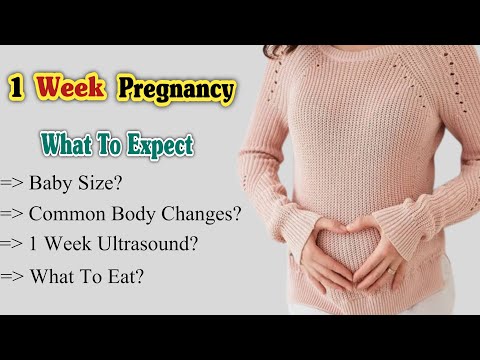 Pregnancy Week By Week 1 41 Weeks Fetal Developments