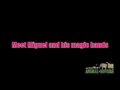 He knows how to treat a lady... with his Magic hands