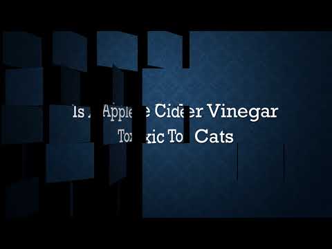 Is apple cider vinegar toxic to cats