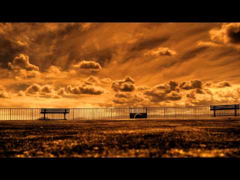 Wippenberg vs Avicii - Chakalaka Dreams (mpusch88 Mashup)