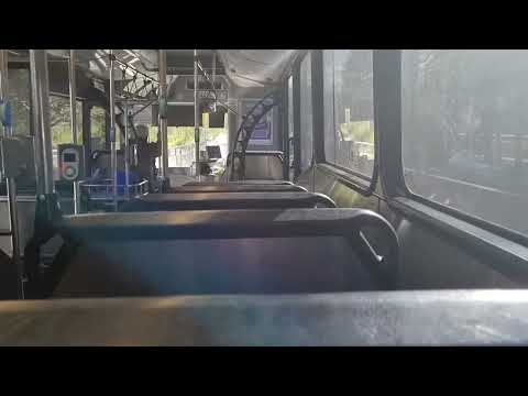 Transdev NSW m/o 5063 • Mercedes Benz O500LE  • Bustech VST.