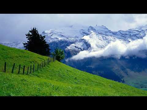 Sebastian Ingrosso - Kidsos (Wippenberg Remix)