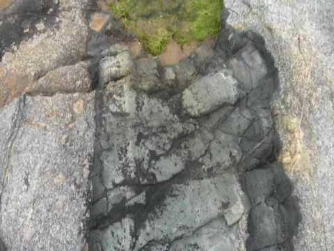 Pórfiro cintilante verde profundo Kinmen Taura