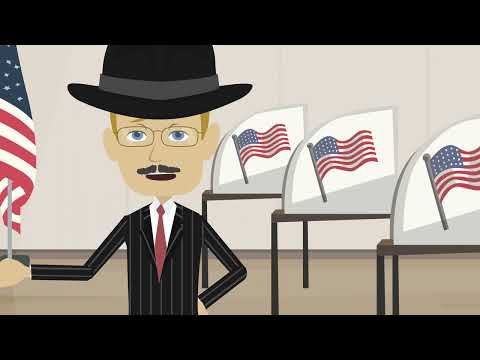 Animated No Agenda - "Normal" Election Errors & Glitches