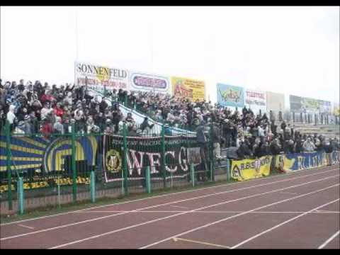 MŁODA GOTYCKA ELANA !