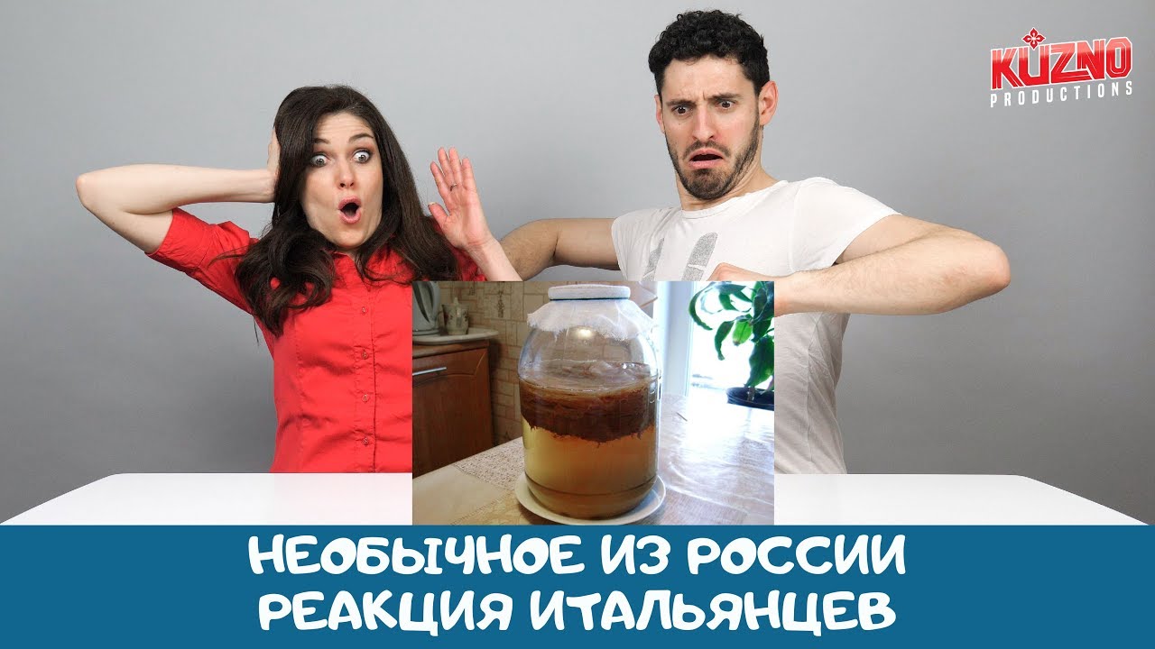 Итальянцы впервые увидели чайный гриб и пришли в ужас