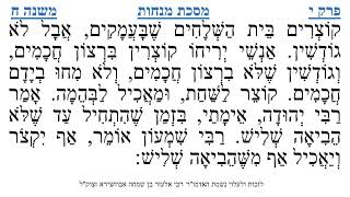 מסכת מנחות פרק י משנה ח