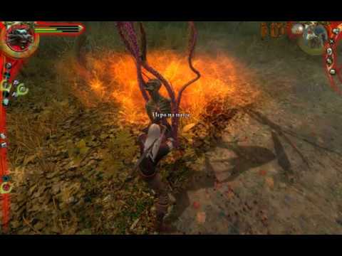 археспора ведьмак 3. археспоры ведьмак 1. Witcher 1 remastered. археспоры ведьмак 1. археспоры ведьмак 1.