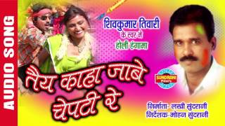 Download lagu TEY KAHAN JABE CHEPTI RE - तैय कहा जाबे चेपटी रे - CG Song - Shivkumar Tiwari - Audio Song mp3