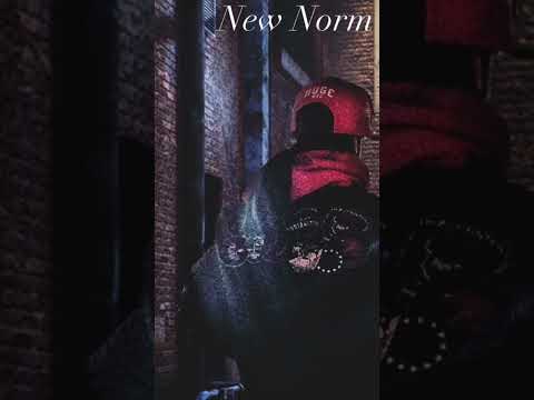 New Norm (Snippet)