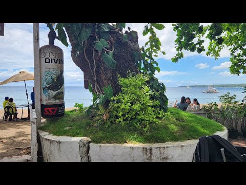 Gracey Dive Resort Dauin 10 miles south of Dumaguete city March 18 2023