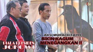 Download lagu Presiden JOKOWI Kagum Liat KITARO Juara 1 Murai BnR mp3 Download lagu Presiden JOKOWI Kagum Liat KITARO Juara 1 Murai BnR mp3