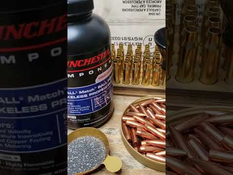 Winchester 22lr Ammo...a closer look
