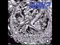 What Happens Next Stand Fast Armageddon Justice Fighter Full Album